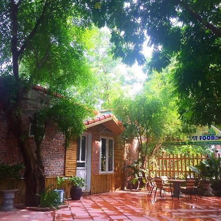 Tam Coc Green Fields Homestay ニンビン エクステリア 写真