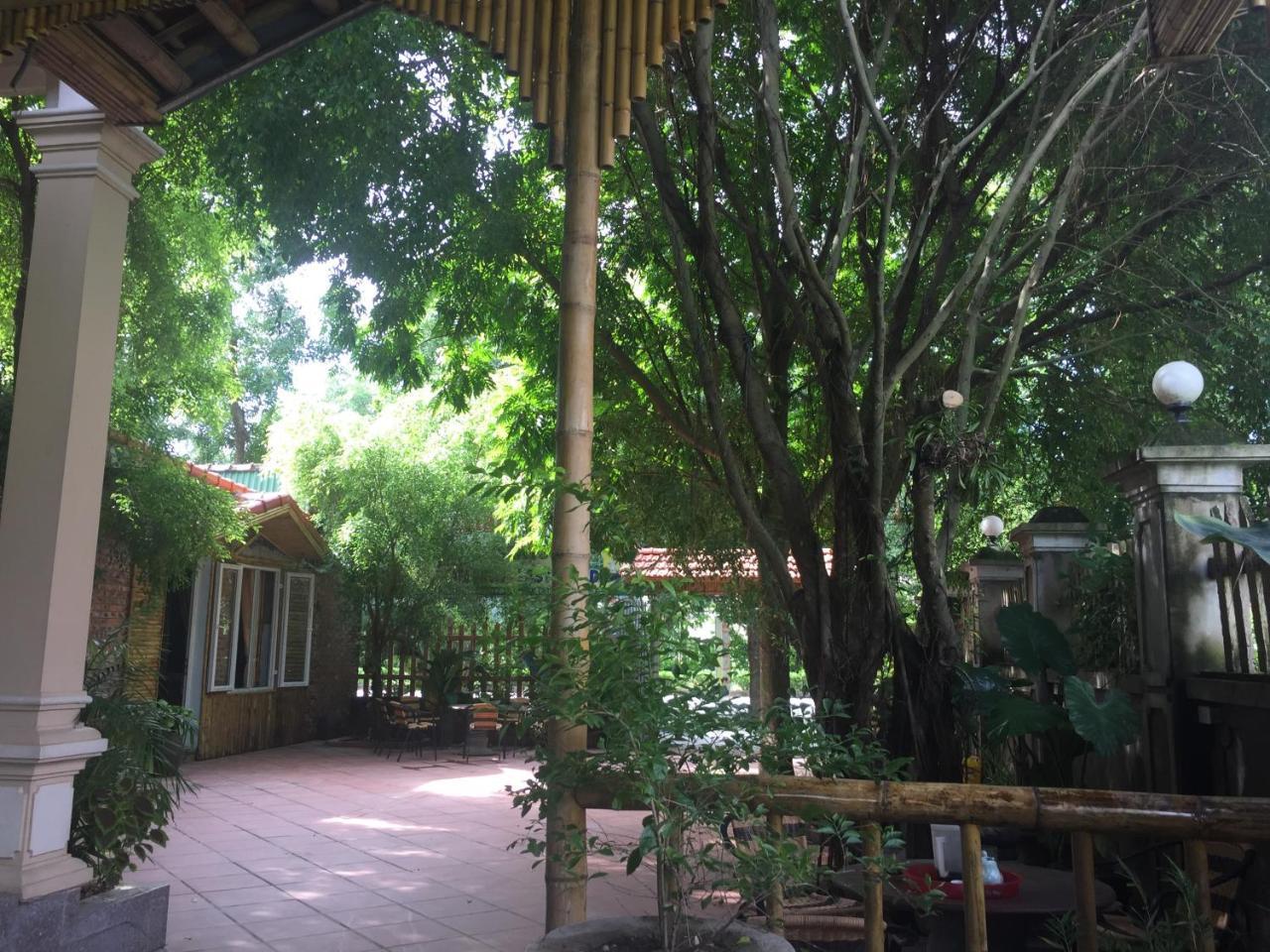 Tam Coc Green Fields Homestay ニンビン エクステリア 写真