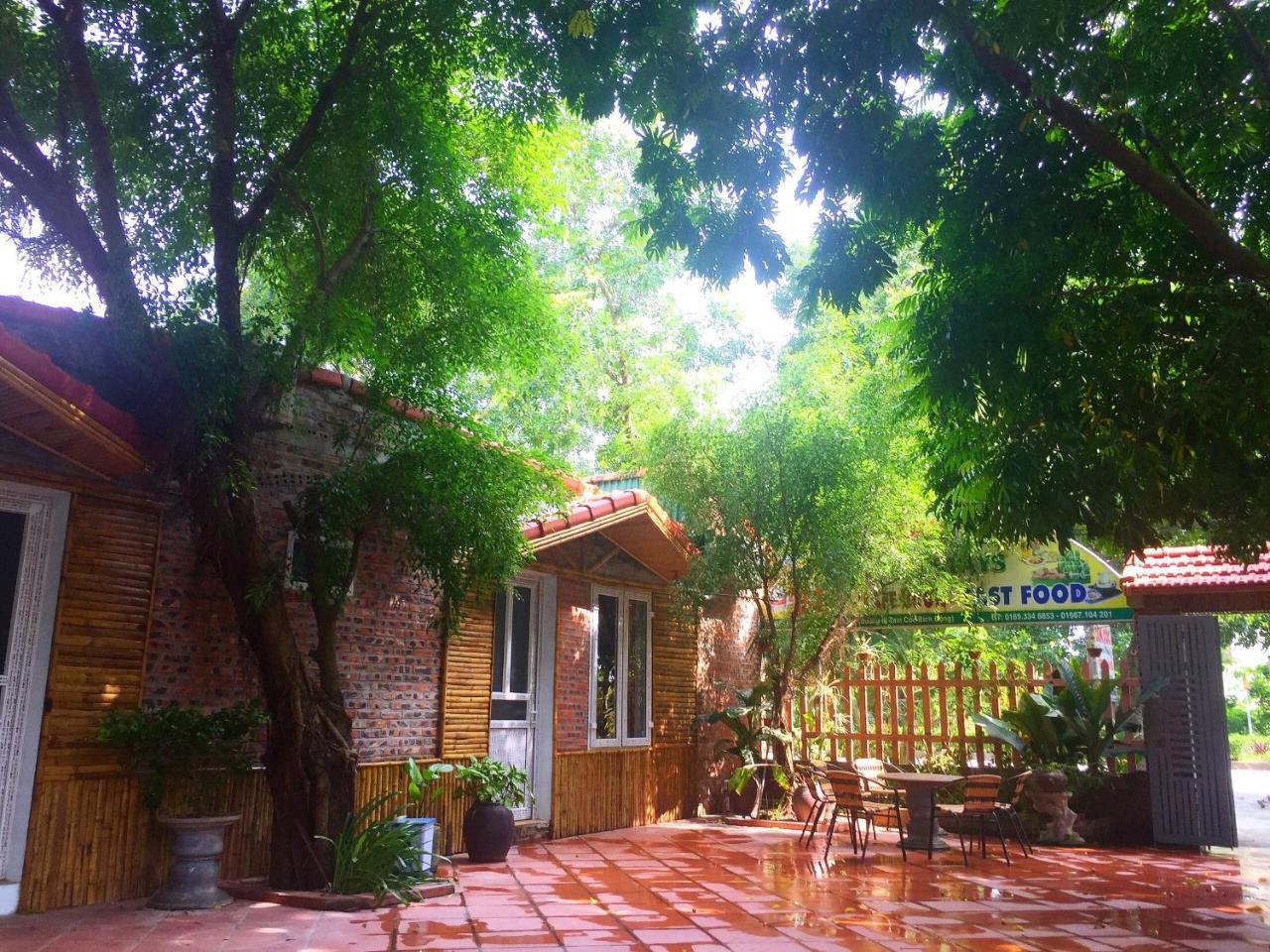 Tam Coc Green Fields Homestay ニンビン エクステリア 写真